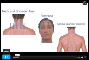 The Collar Zone – Video – SCENAR Training